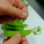 絹さやの下処理方法と簡単に筋取りできる裏ワザで長期保存しよ♪