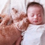 犬が人間の赤ちゃんを舐める理由は？舐める場所によって気持ちが違う？