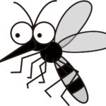 蚊の寿命はどれくらい？生まれてから死ぬまでの暮らしぶりを解説
